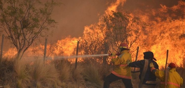Más de 500 mil hectáreas afectadas por incendios en La Pampa y Buenos Aires