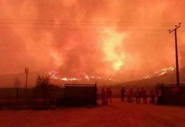 Estados Unidos envia apoyo a Chile por los incendios forestales