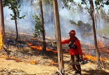 Bomberos sanjuaninos viajan a Chile para ayudar con los incendios