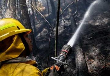 Bomberos de Bogotá se anticipan a los incendios forestales