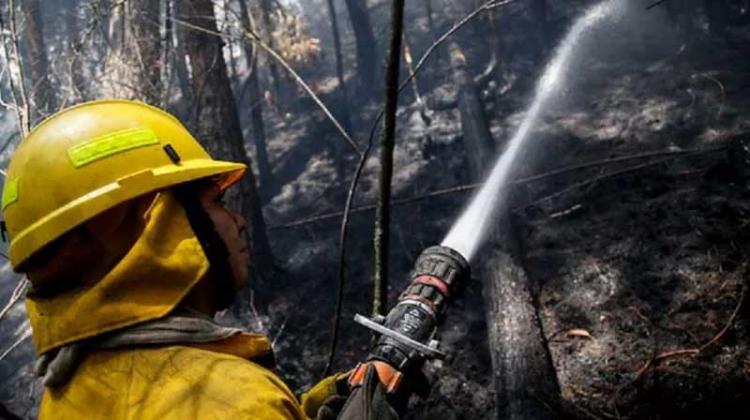 Bomberos de Bogotá se anticipan a los incendios forestales