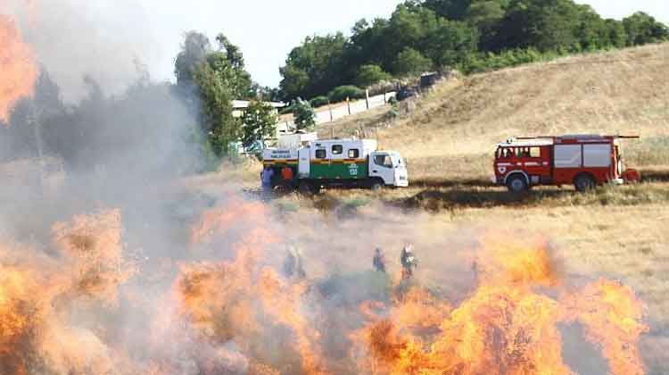 Incendio forestal puso en peligro a casas en Labranza