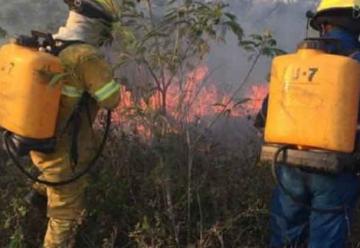 Sin equipo y capacitación para atacar incendios forestales