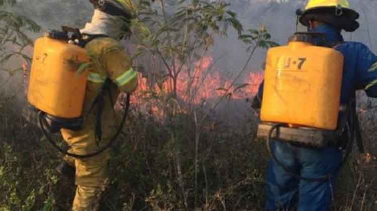 Sin equipo y capacitación para atacar incendios forestales