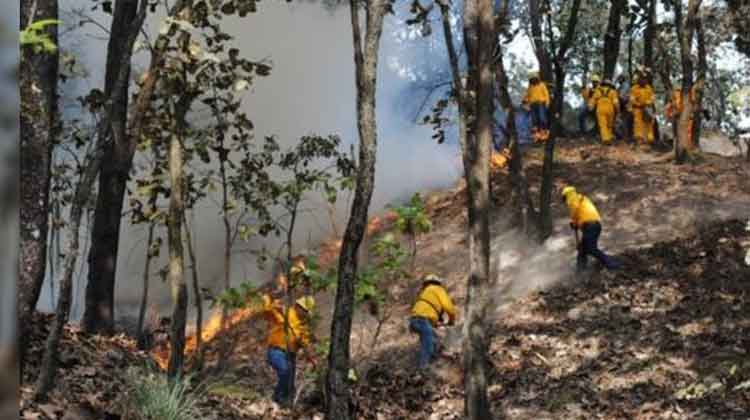 Fallece brigadista que combatió incendió en Mascota