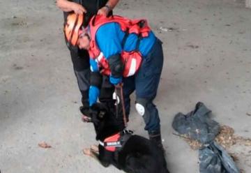 Bomberos de Chajarí se capacitaron en entrenamiento canino