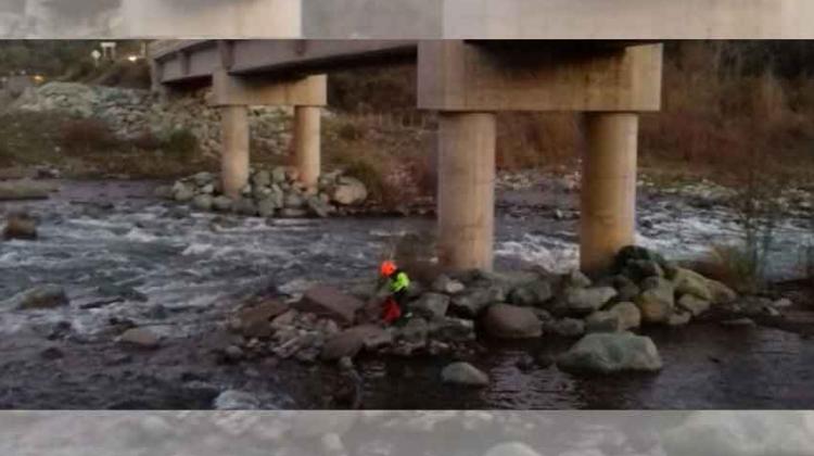Perrito que habría sido lanzado de un puente es rescatado por bomberos