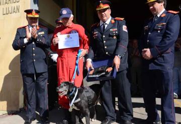 Condecoraron a Camila, la perra que encontró un avión perdido