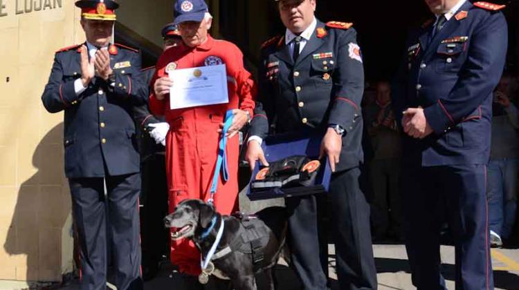 Condecoraron a Camila, la perra que encontró un avión perdido