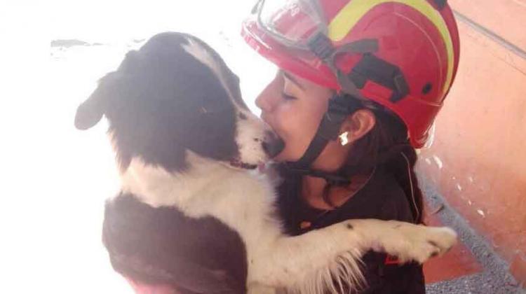 Bomberos obtuvieron certificación internacional en búsqueda y rescate