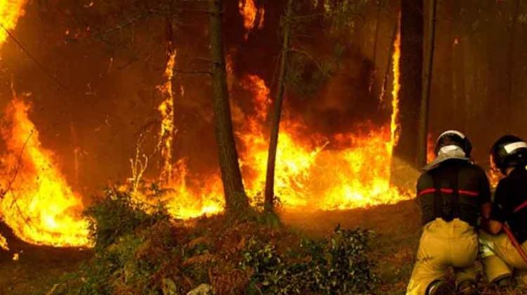 Ola de incendios provocados en distintos puntos de Galicia