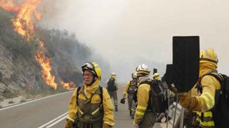 Brigadas Forestales consiguen ser reconocidas como bomberos