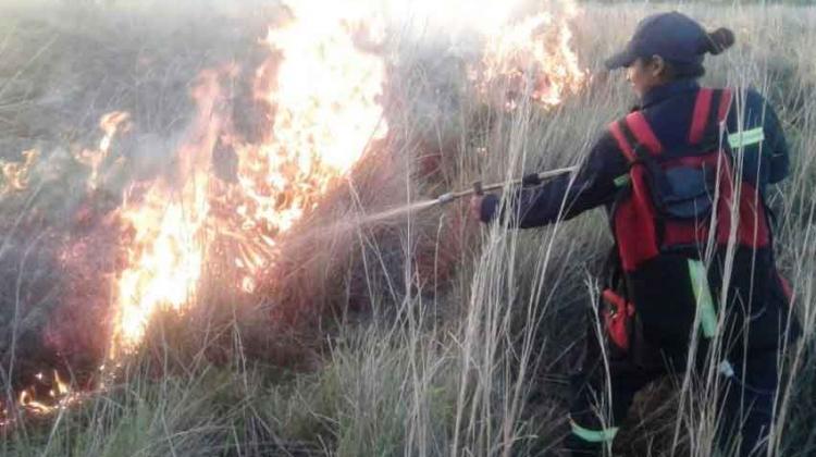 Una extraña aparición dejó perplejos a bomberos de Itatí