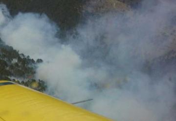Persisten 2 incendios forestales en Potrero de Garay