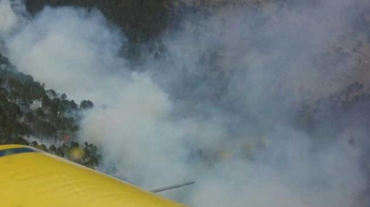 Persisten 2 incendios forestales en Potrero de Garay