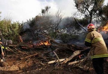 Un fuerte incendio azotó al bosque de Villa Gesell