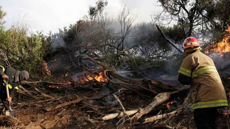 Un fuerte incendio azotó al bosque de Villa Gesell