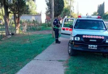 Bomberos rescató a un caballo que cayó a un pozo