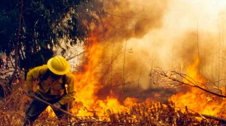 Determinan alerta roja en Quilpué por incendio forestal