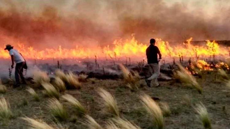 Los incendios en La Pampa destruyeron 700 mil hectáreas