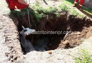 Bomberos rescatan un caballo caído en un pozo ciego