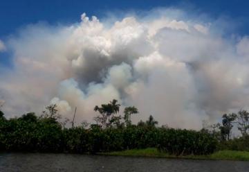 Incendio destruye más de 2.000 hectáreas de reserva