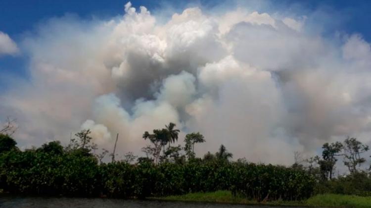 Incendio destruye más de 2.000 hectáreas de reserva
