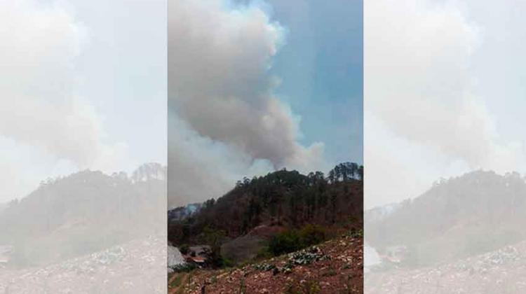 Bomberos sufren graves quemaduras en incendio Forestal