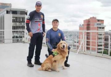 Perros de Bomberos que participan en rescates