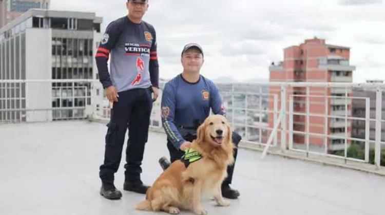 Perros de Bomberos que participan en rescates