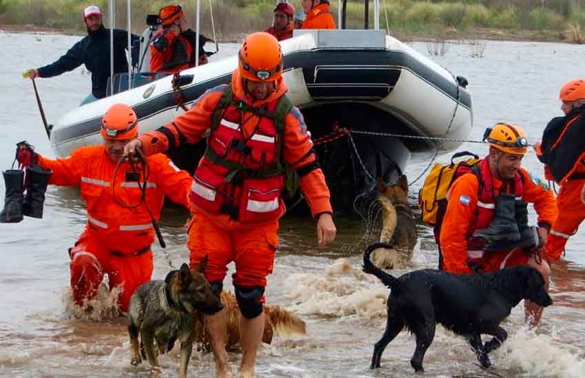 Bomberos conformarán en La Pampa la primera brigada de perros