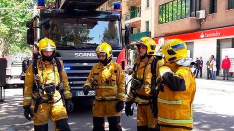 Bomberos rescatan a un gato de un incendio