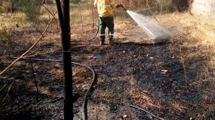 Brigadistas controlaron nuevo incendio en Tinogasta