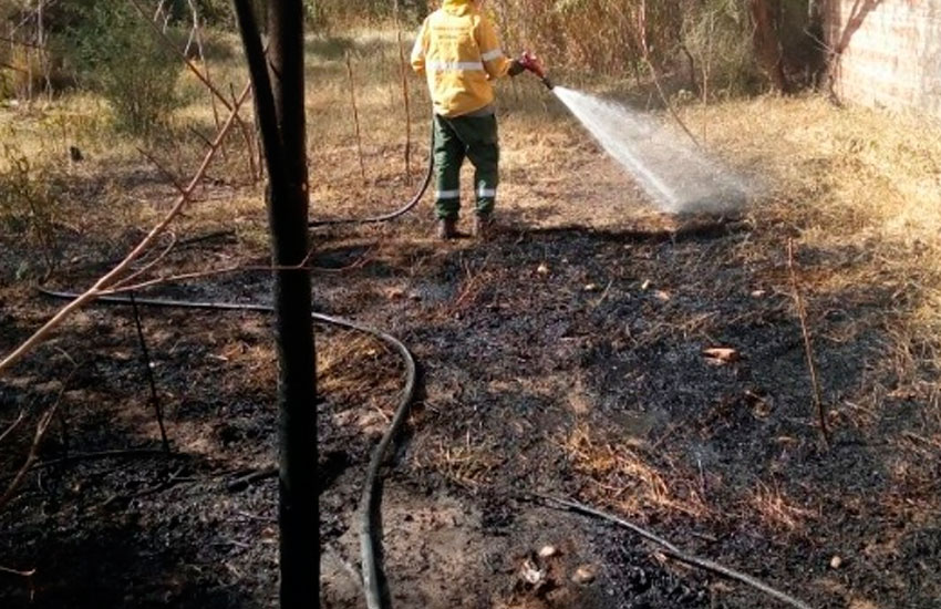 Brigadistas controlaron nuevo incendio en Tinogasta