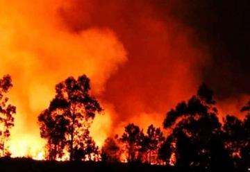 Falleció un voluntario en incendio en Caricuao