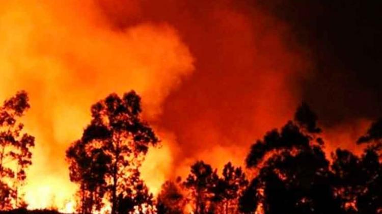 Falleció un voluntario en incendio en Caricuao