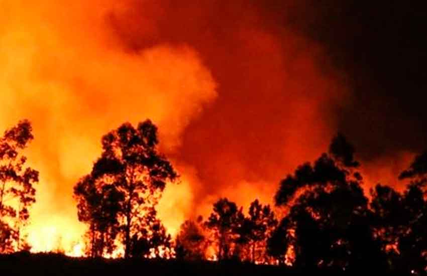 Falleció un voluntario en incendio en Caricuao