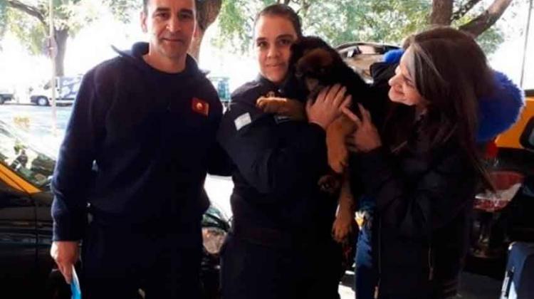Bomberos de Monte Grande adoptó un cachorro rescatista