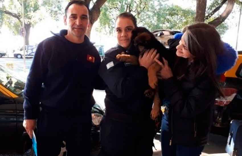 Bomberos de Monte Grande adoptó un cachorro rescatista