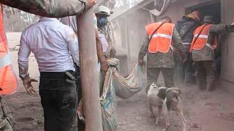 Bomberos mexicanos viajan a Guatemala Bomberos mexicanos viajan a Guatemala