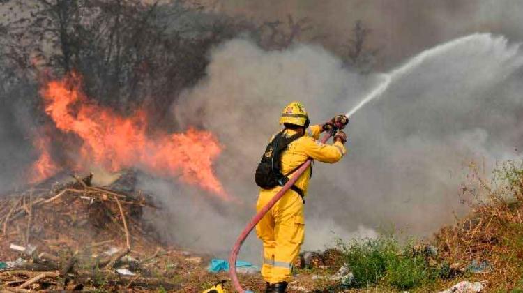 Bomberos controlaron incendio forestal en Guayaquil Bomberos controlaron incendio forestal en Guayaquil