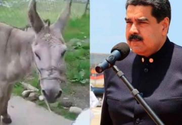 Arrestan a dos bomberos por comparar a Maduro con un burro