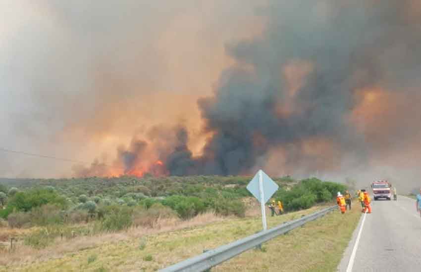 Envían bomberos cordobeses al incendio de San Luis