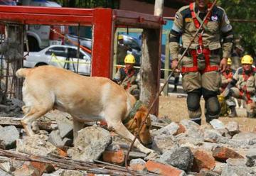 Bomberos ya cuentan con unidad canina de búsqueda