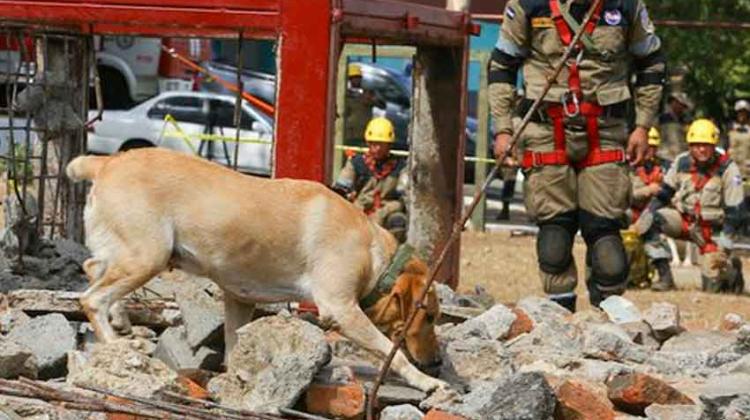 Bomberos ya cuentan con unidad canina de búsqueda