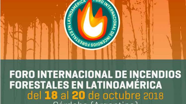 1° Foro Internacional de Incendios Forestales en Latinoamérica