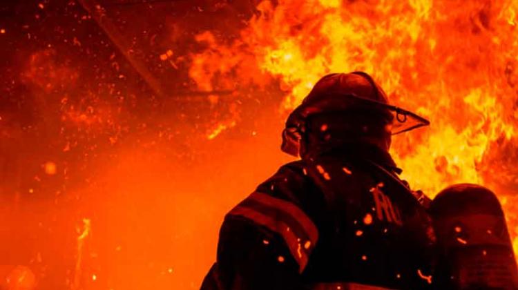 Lanzan convocatoria para el destacamento de Domselaar Lanzan convocatoria para el destacamento de Domselaar
