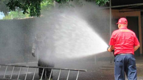 Abejas atacan a tres bomberos durante el exterminio