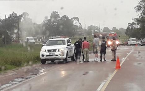 Bomberos de Río Branco son atacados por abejas en un rescate vehicular