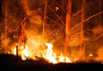 Cuatro Bomberos lesionados por incendio forestal